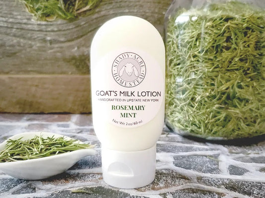 Bottle of Shady Acre Homestead Goat's Milk Lotion in Rosemary Mint scent on a table with rosemary leaves.
