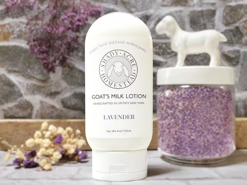 Bottle of Shady Acre Homestead Goat's Milk Lotion in lavender scent placed on a table with a container of lavender buds and decorative items in the background.