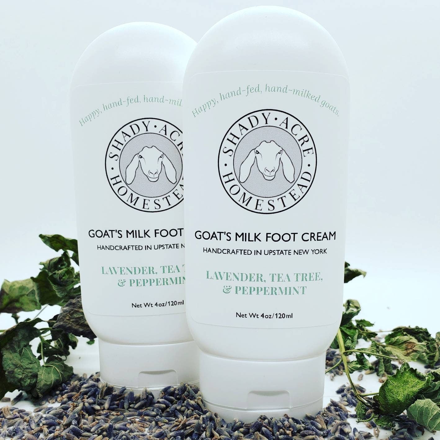 goat milk foot cream, goat milk foot lotion, goats milk foot lotion, goats milk foot cream, goat milk foot creme,
goats milk foot creme, heavy foot cream, foot cream for feet, heavy duty foot cream, goat milk lotion for feet, cracked heels